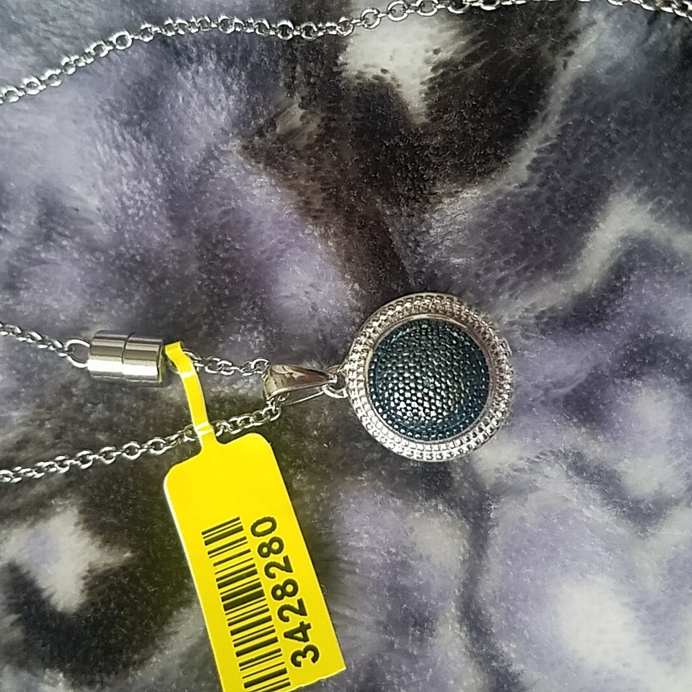925 Sterling Silver pendant &  SS necklace